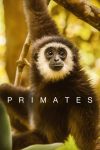 Portada de Primates: Temporada 1