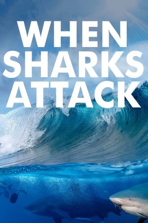 Portada de When Sharks Attack: Temporada 2