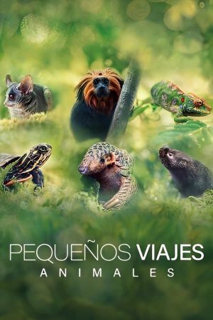 Portada de Pequeños viajes animales