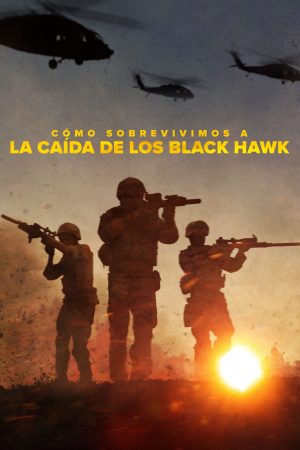 Portada de Cómo sobrevivimos a la caída de los Black Hawk