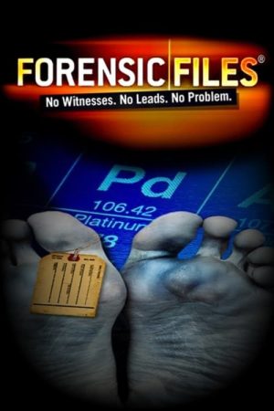 Portada de Crímenes Imperfectos: Temporada 5