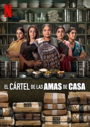 Portada de El cártel de las amas de casa