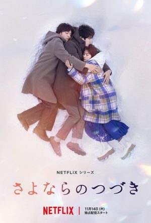 Portada de Más allá del adiós: Temporada 1