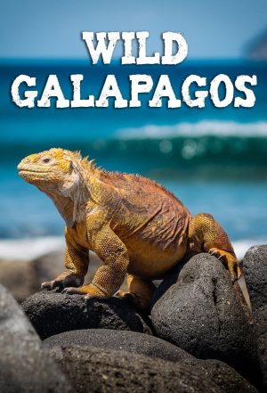 Portada de Wild Galápagos