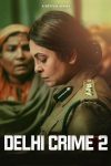 Portada de Delhi Crime: Temporada 2