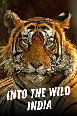 Portada de Into the Wild: India