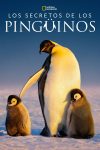 Portada de Secretos de los pingüinos: Temporada 1