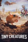 Portada de Fauna minúscula: Temporada 1