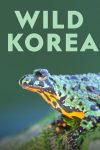 Portada de Wild Korea: Temporada 1