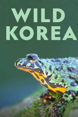 Portada de Wild Korea
