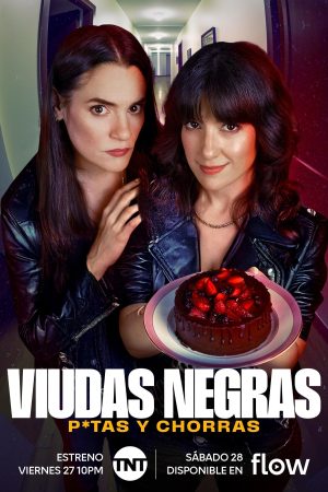 Portada de Viudas negras: P*tas y chorras