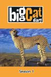 Portada de Big Cat Week: Temporada 1