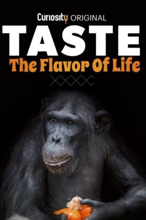 Portada de Taste: The Flavor of Life: Temporada 1 Portada de Taste: The Flavor of Life: Temporada 1