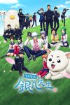 Portada de Gintama: Mr. Ginpachi's Zany Class: Temporada 1
