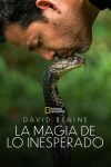 Portada de David Blaine Retos Extremos: Temporada 1 Portada de David Blaine Retos Extremos: Temporada 1