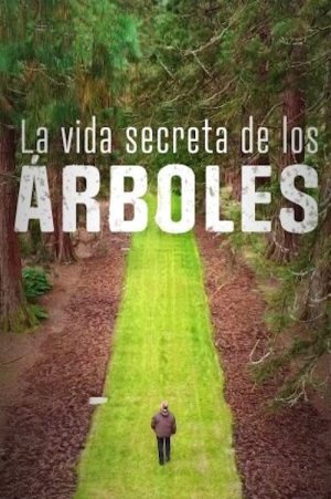 Portada de La vida secreta de los árboles Portada de La vida secreta de los árboles