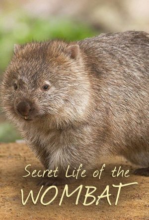 Portada de La Vida Secreta de los Wombat: Temporada 1 Portada de La Vida Secreta de los Wombat: Temporada 1