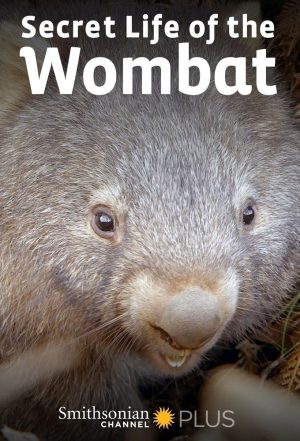 Portada de La Vida Secreta de los Wombat Portada de La Vida Secreta de los Wombat