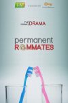 Portada de Permanent Roommates: Temporada 1